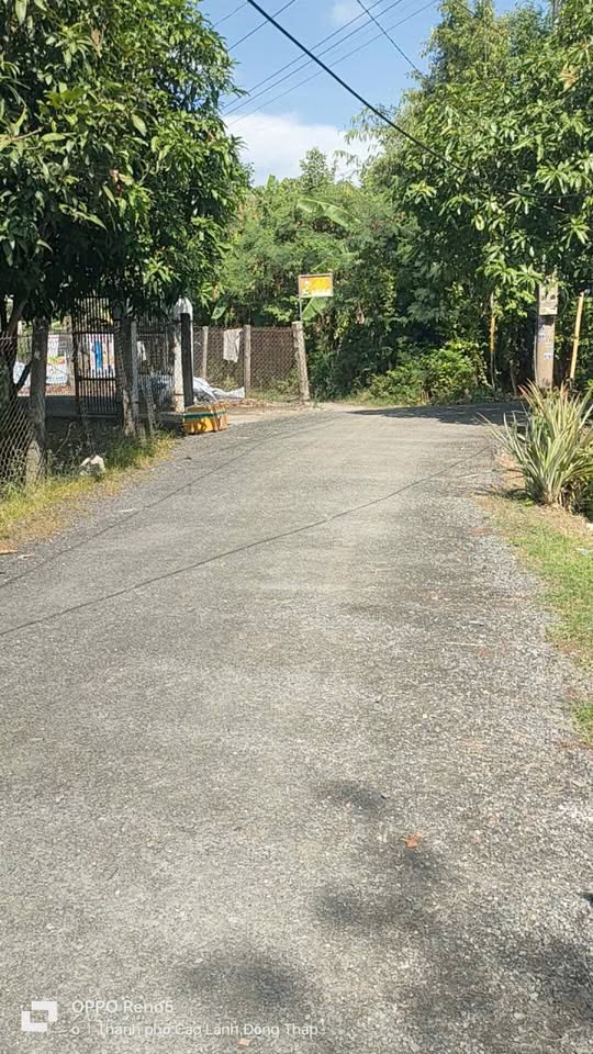 Chào mừng quý vị đến với lô đất vàng tại Cù Lao, Phú Mỹ, Mỹ Thọ, Đồng Tháp