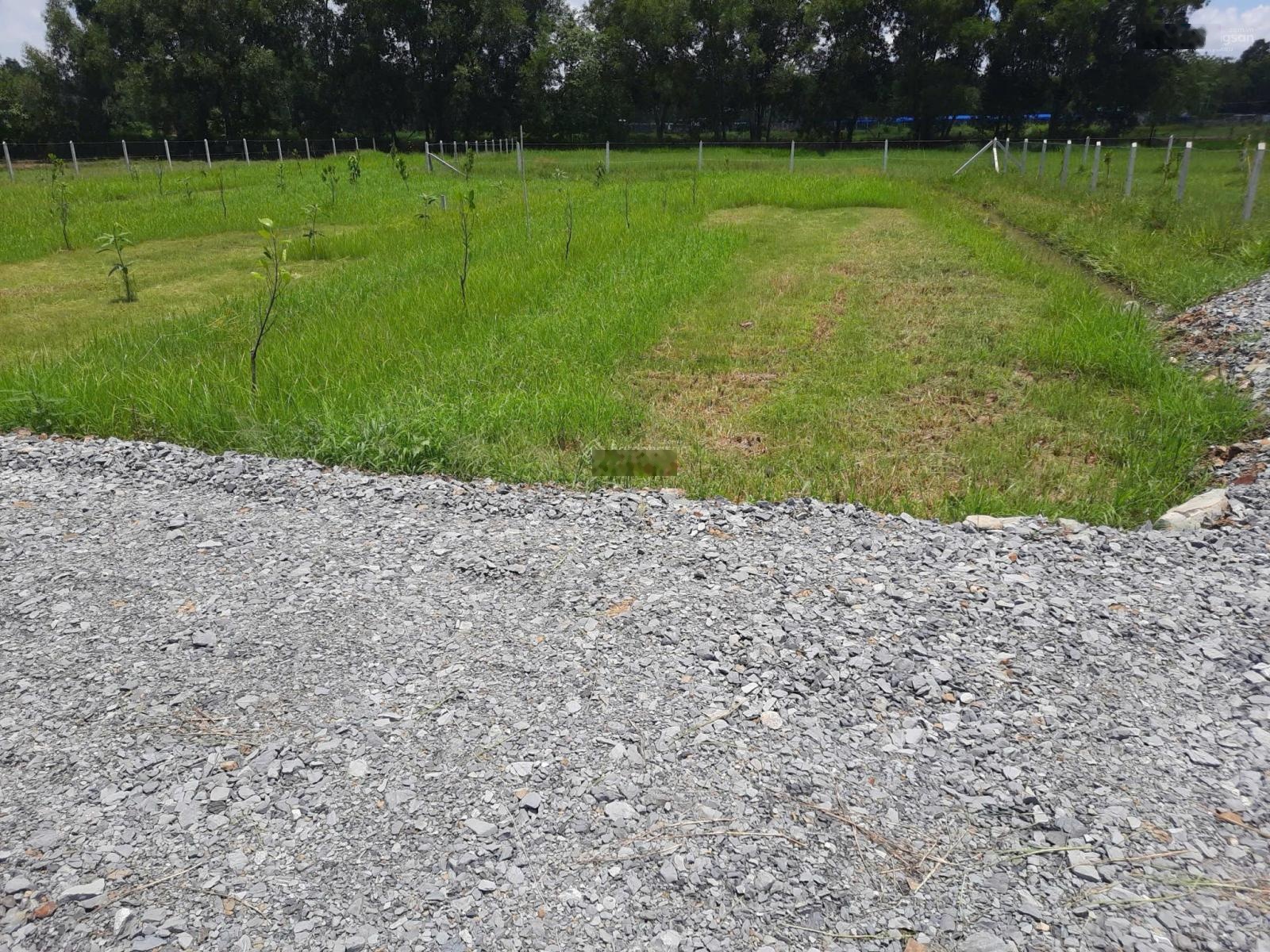 Chỉ 799 triệu cho 100m2chính chủ cần bán gấp lô đất đẹp tại phước hiệp