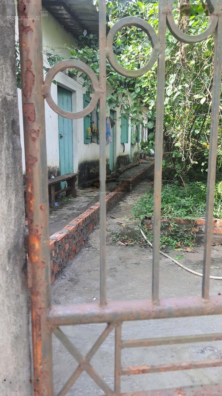 Hàng hiếm tại Xuân Khanh, Sơn Tây, Hà Nội, 1,62 tỷ, 80m2