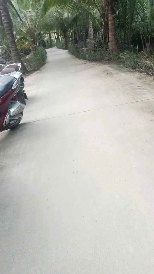 Cần bán gấp 908m2 đất tại xã Long Mỹ, tỉnh Bến Tre