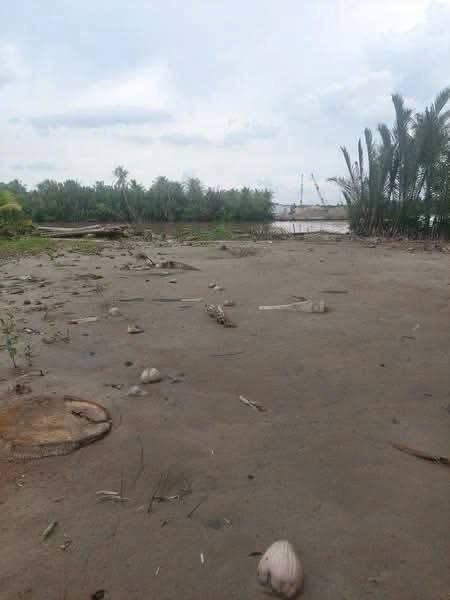 Siêu phẩm đất mặt tiền sông Cầu Dây, Bến Tre, diện tích khủng 1300m2, chỉ với 450 triệu đồng