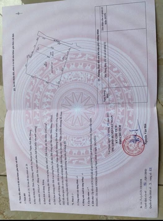 Chào mừng quý nhà đầu tư đến với cơ hội sở hữu mảnh vườn rộng lớn tại Phượng Sơn