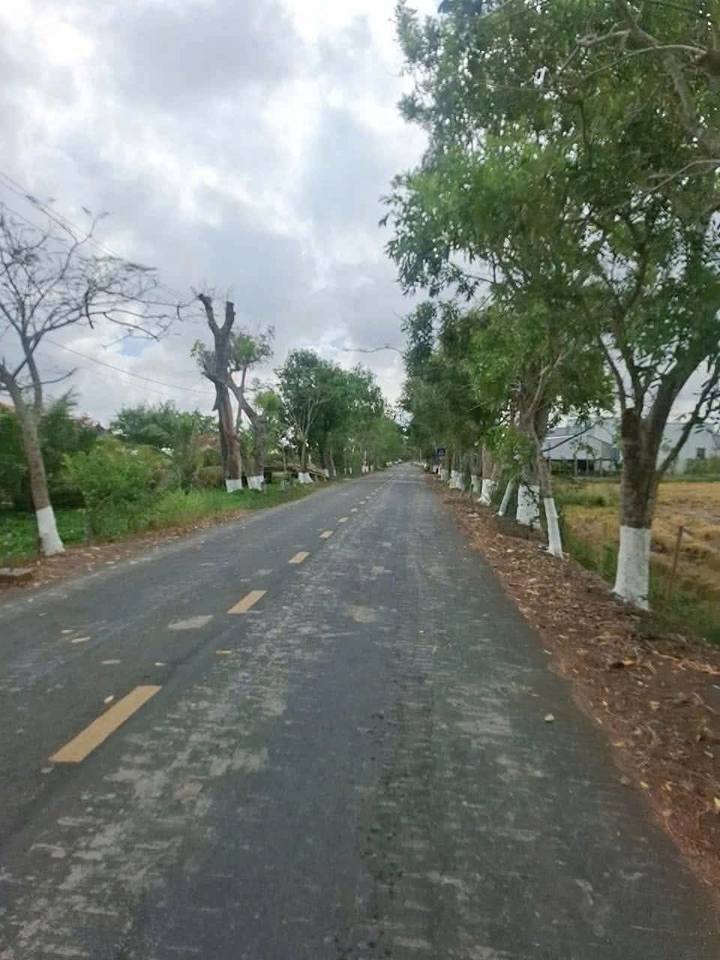 Bán đất mặt tiền đường 19/5, Châu Thới, Cà Mau - Cơ hội đầu tư sinh lời