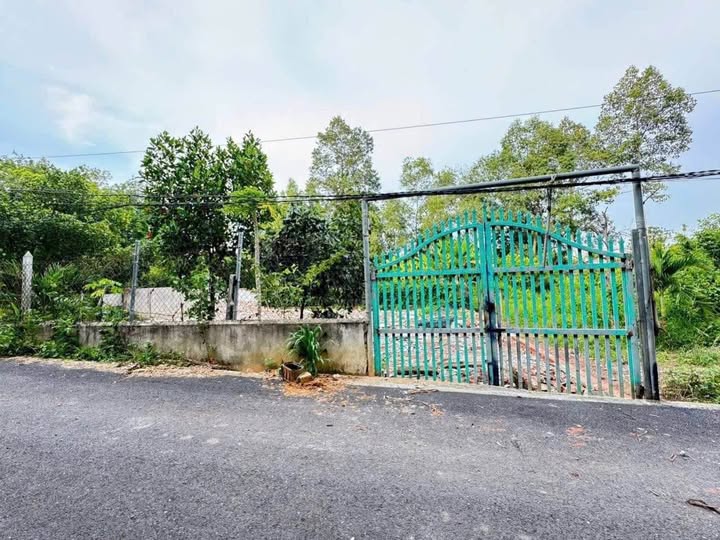 Siêu phẩm đất nền sẵn sổ, vị trí đắc địa tại Thanh Hóa đây ạ