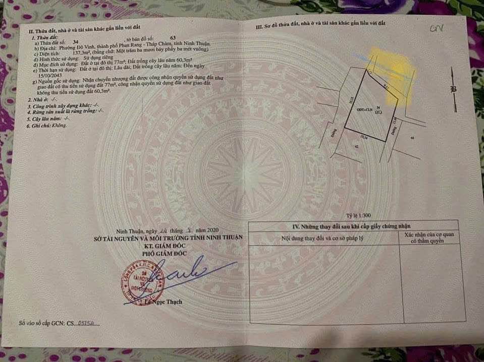 Đất vàng Đô Vinh, nhà cấp 4 xinh xinh, giá hời hời