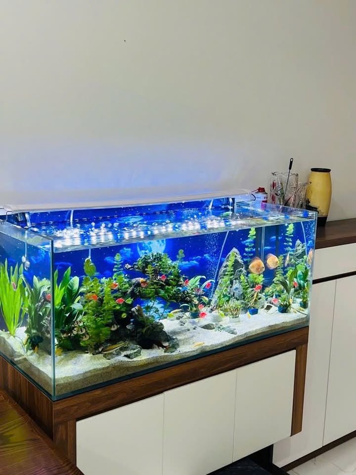 Bán nhà đẹp 5 tầng tại Hà Cầu, Hà Đông, 47m², gần Quang Trung, giá nhỉnh 11 tỷ