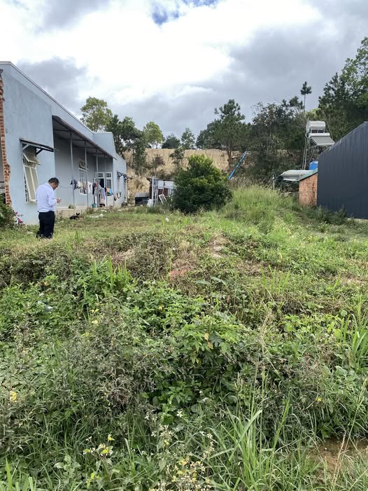 Bán gấp đất mặt tiền nhựa lớn tại Thạnh Mỹ, Đơn Dương, Lâm Đồng