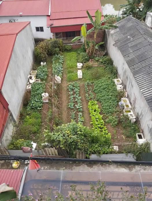 Mảnh đất vàng ngõ 22 Chu Văn An, nơi an cư lý tưởng