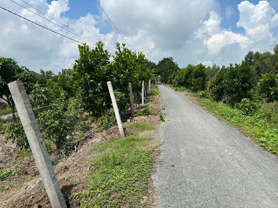 Đất vườn mít xã Gáo Giồng, Đồng Tháp - Nơi an yên nghỉ dưỡng