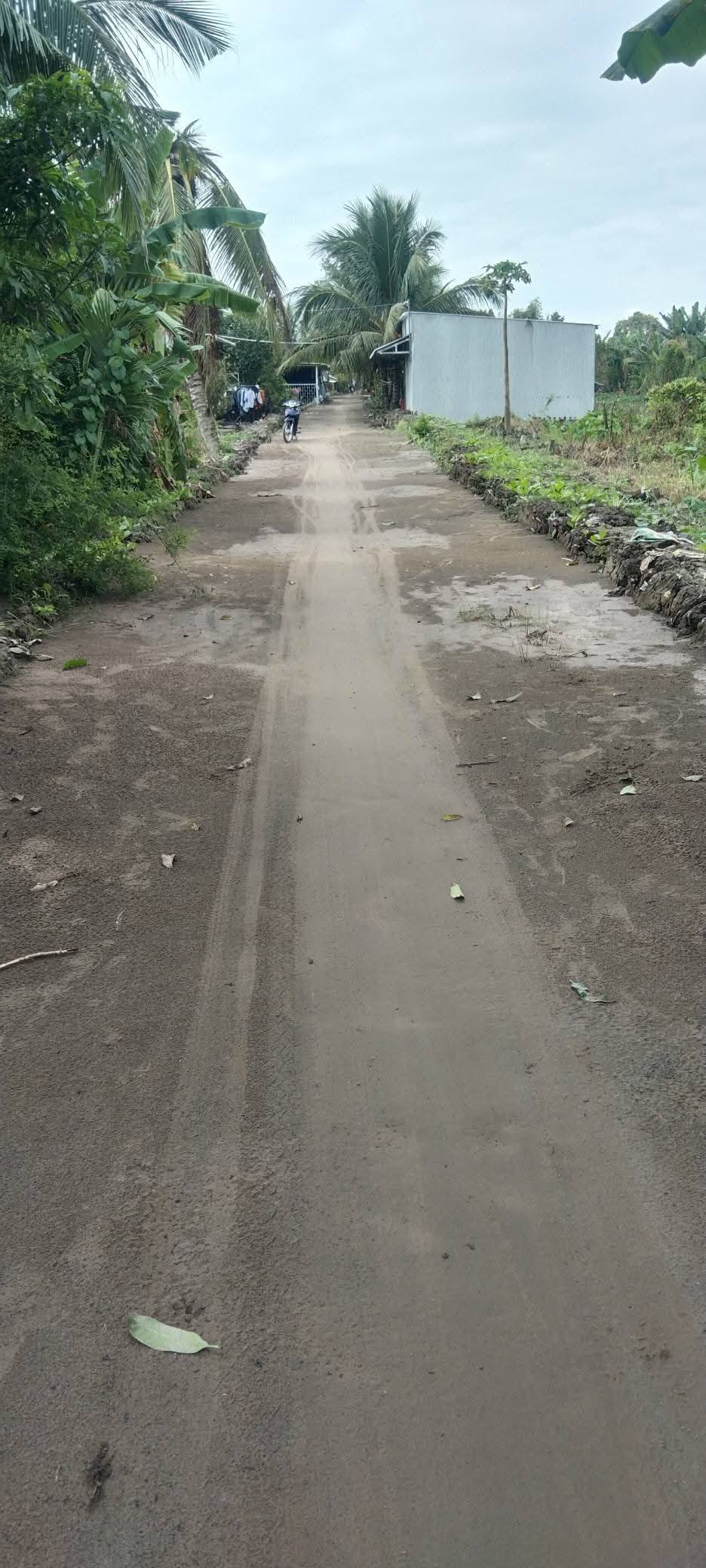 Siêu phẩm đất nền Cần Thơ đã sẵn sàng