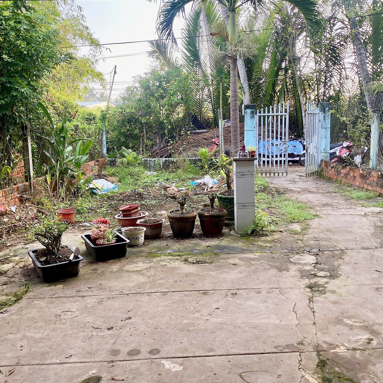 Chào mừng quý khách đến với "thiên đường" an cư tại Mỹ Thạnh An, Bến Tre