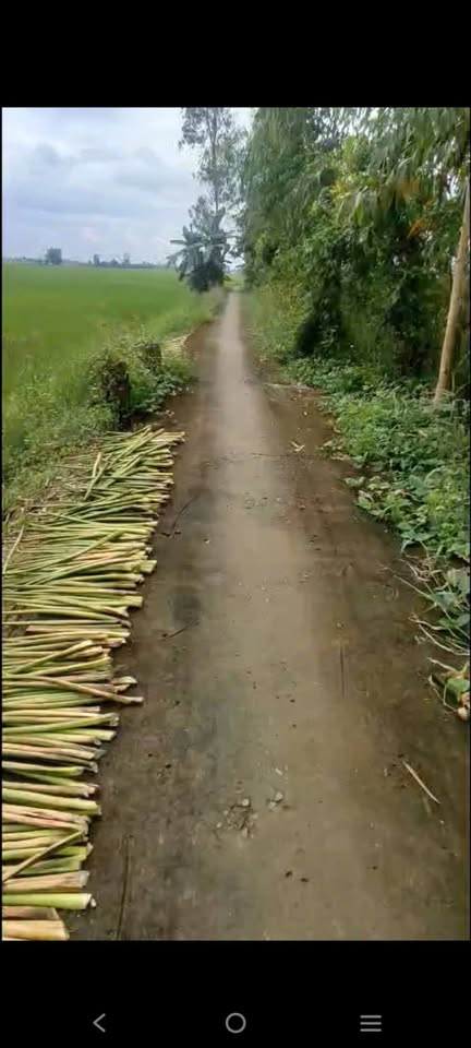 Đất 2,6 công Đồng Tháp: Sông lớn, giáp khu du lịch, giá hời