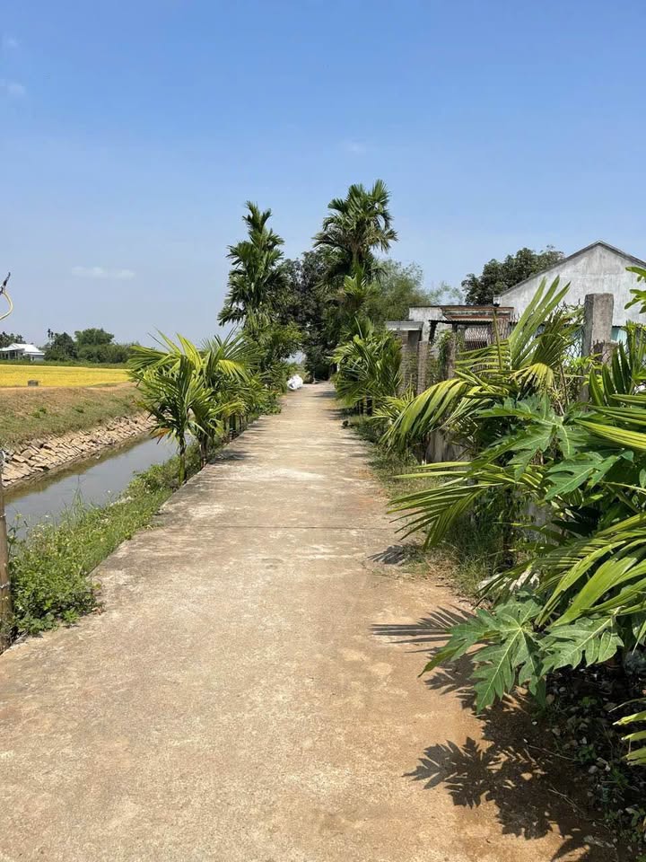 Chào mừng quý vị đến với thiên đường đất nền tại Đại Lễ, Phước Hiệp, thị xã An Nhơn, tỉnh Bình Định