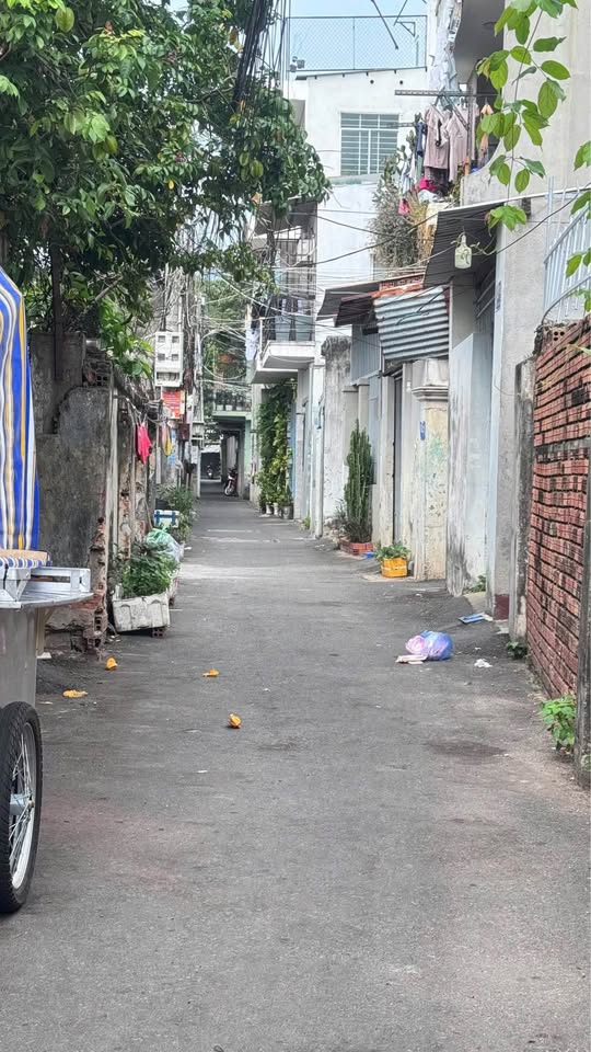 Mảnh đất vàng Vũng Tàu, tặng nhà xinh, hướng Đông Nam mát mẻ