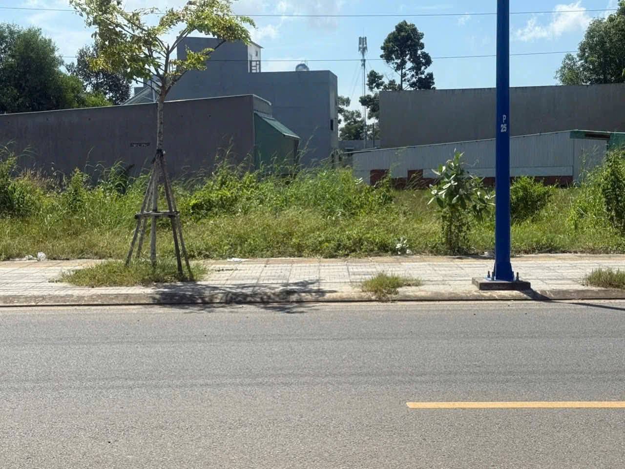 Chào mừng quý vị đến với lô đất "vàng" tọa lạc ngay mặt tiền đường Lê Đại Hành, Phường Tam Long