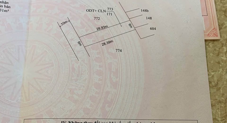 Đất Easup, Đắk Lắk: 6x29m, 40m2 thổ cư, giá 430 triệu - Cơ hội đầu tư sinh lời