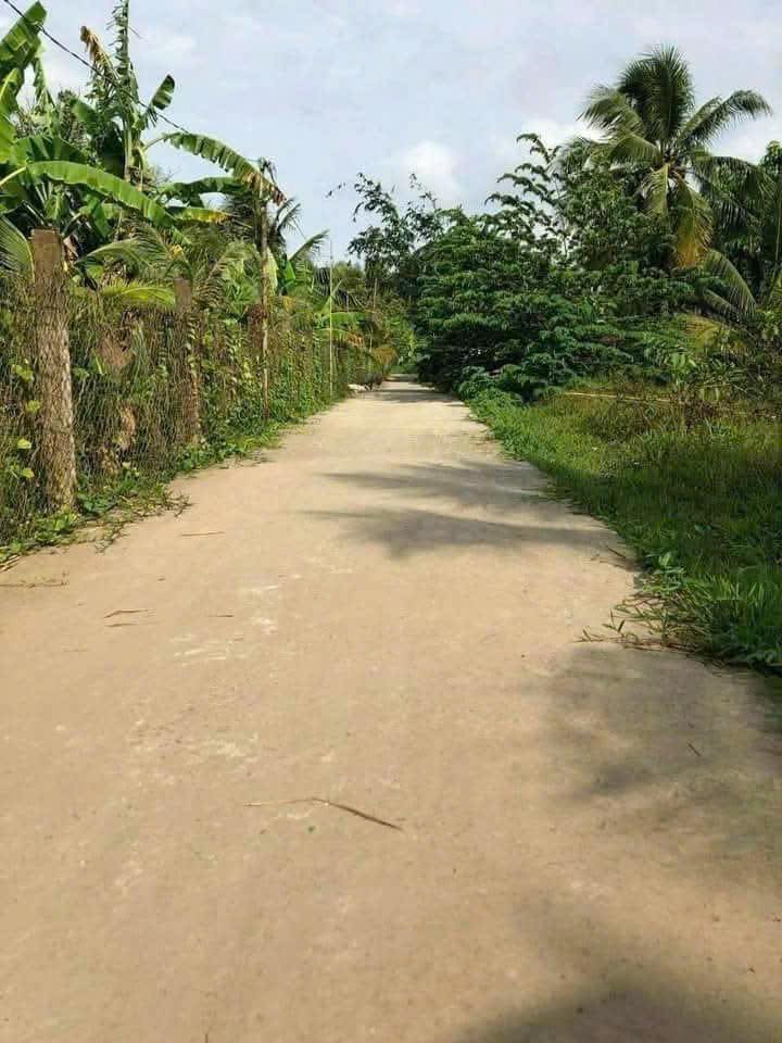 Bán đất nền tại xã Lương Hòa, huyện Giồng Trôm, tỉnh Bến Tre