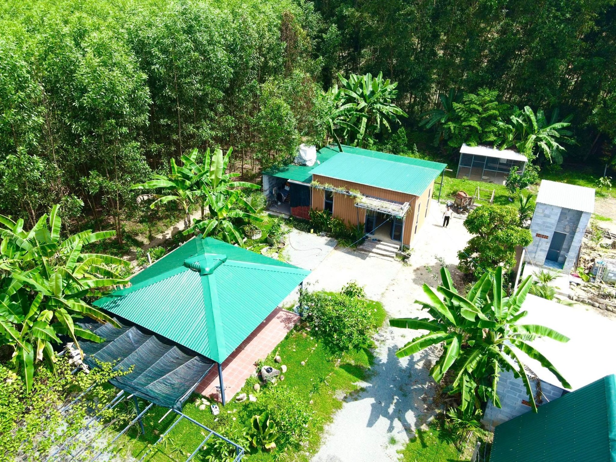 Farmstay 2.700m² Khánh Hòa, vườn trái cây trĩu quả, sông nước hữu tình, giá "hời"
