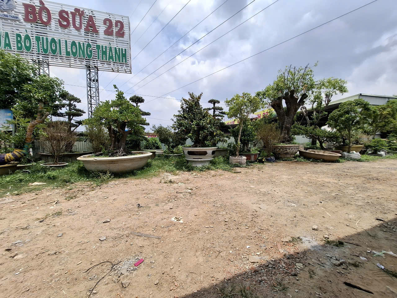 Siêu phẩm đất nền "hot hit" Đồng Nai, gấp bán giảm ngay 3 tỷ cho chủ nhân may mắn