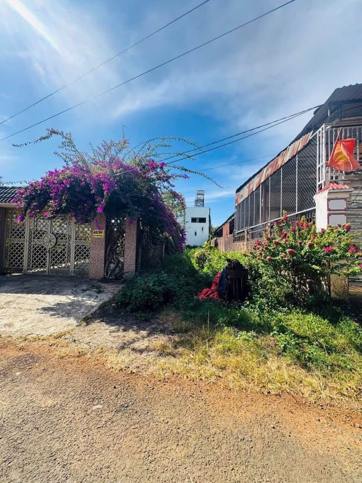 Siêu phẩm đất nền tại hẻm 32 Lạc Long Quân, Gia Lai đã chính thức lộ diện