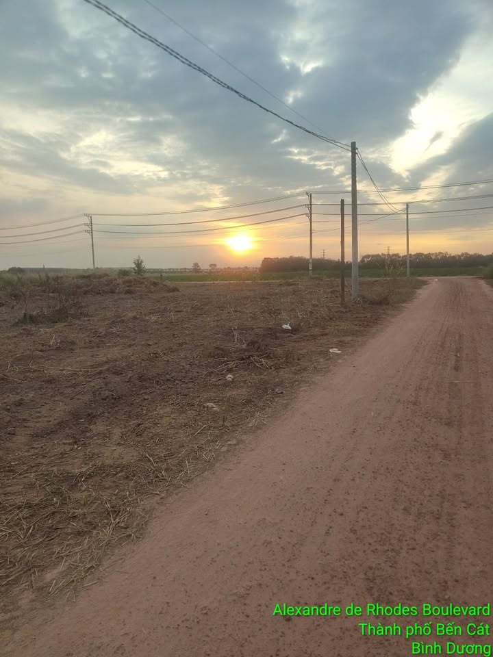 Cơ hội sở hữu ngay lô đất mặt tiền đắc địa tại An Điền, Bến Cát, Bình Dương