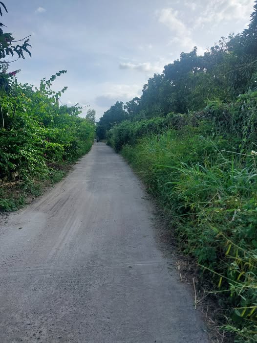 Cần bán gấp lô đất rộng tới 6300m2 tại xã Tân Lập, huyện Cam Lâm, tỉnh Khánh Hòa