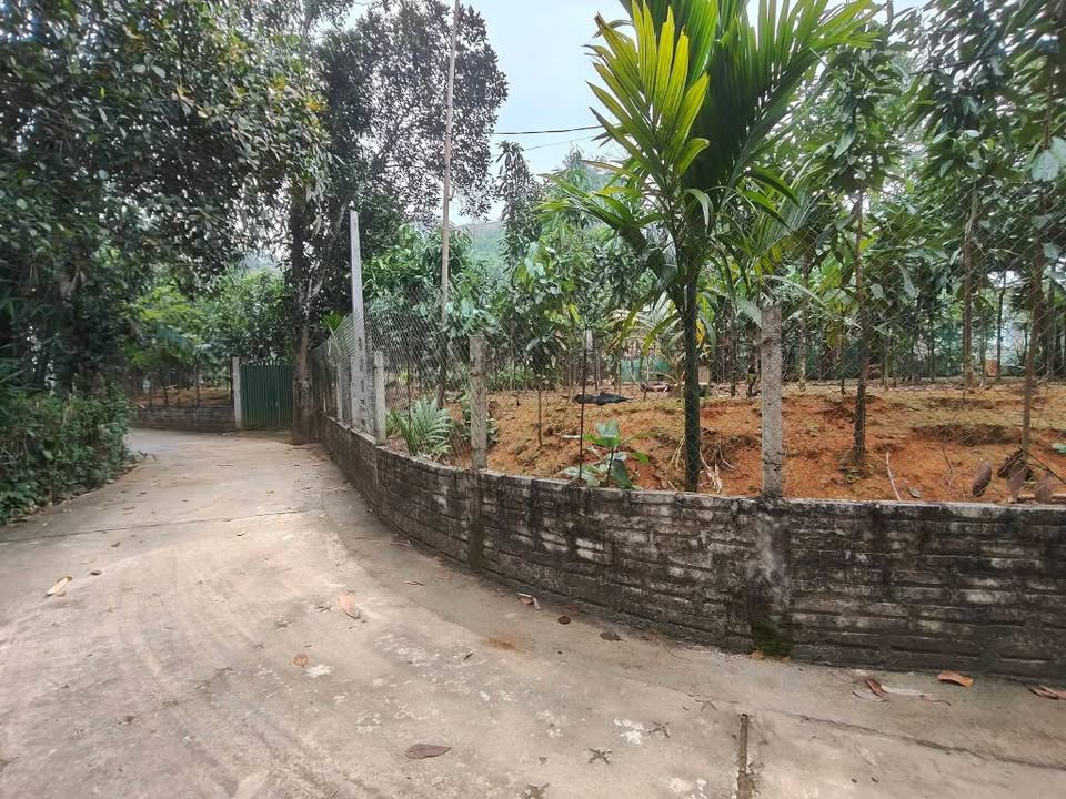 Bảo Yên, Minh Bảo - Đất rộng 1290m2, mặt tiền 40m, giá chỉ 1.5x tỷ