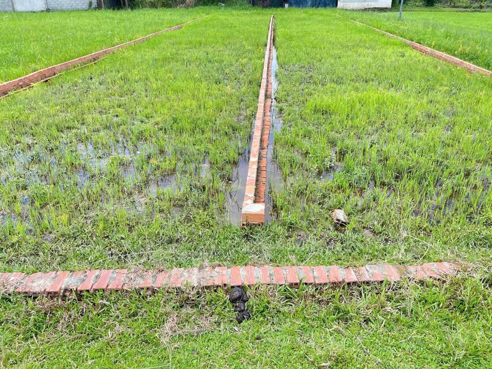 Chớp ngay cơ hội sở hữu đất nền tại Ấp Bàu Sen, xã Đức Lập Hạ