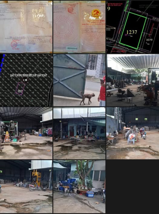 Xưởng góc 2 mặt tiền, Củ Chi 723m² đất full thổ cư, xe tải lớn thoải mái, giá 9 tỷ