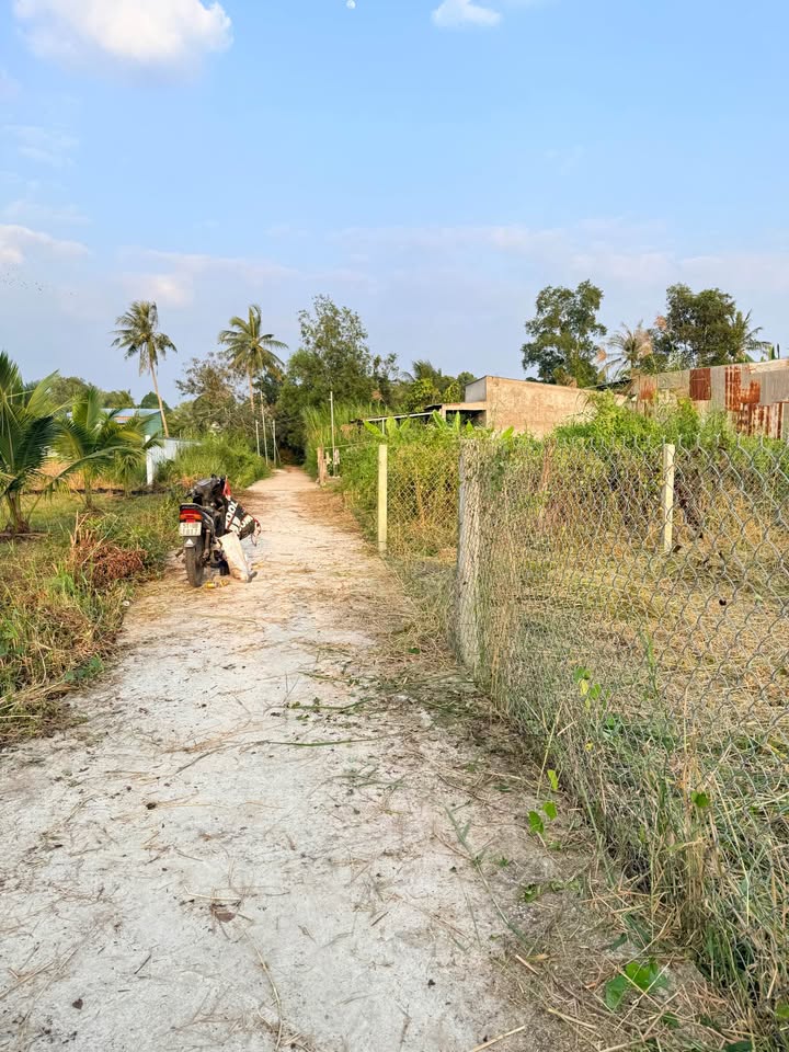 Bán gấp đất Phú Khương, Bến Tre, giảm sốc 70 triệu, chỉ còn 620 triệu