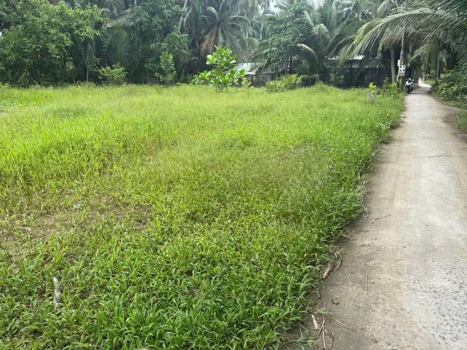 Chào mừng quý khách đến với cơ hội sở hữu nền đất tiềm năng tại Tân Bình, Bến Tre