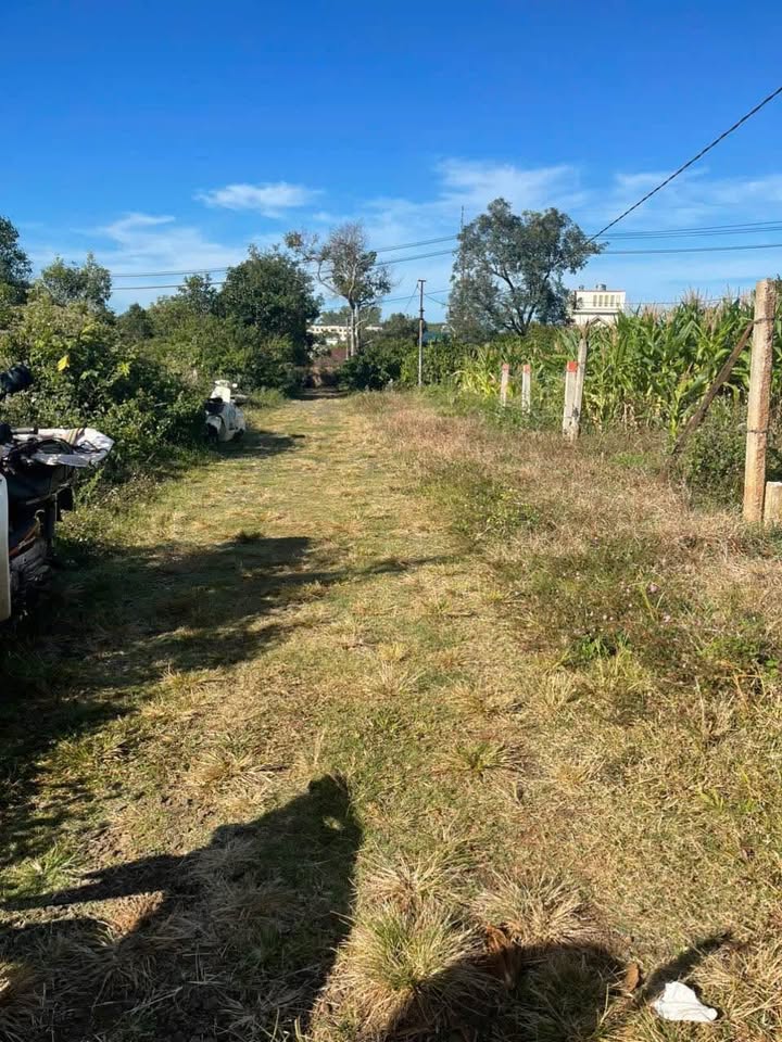 Mảnh đất vàng tại hẻm 34 đường Ký Con, Phường Thống Nhất, thành phố Pleiku