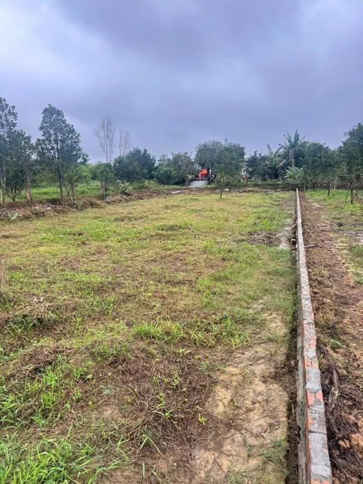 Bán đất 500m2 3 mặt tiền tại Phong Điền, Thừa Thiên Huế giá chỉ 499 triệu