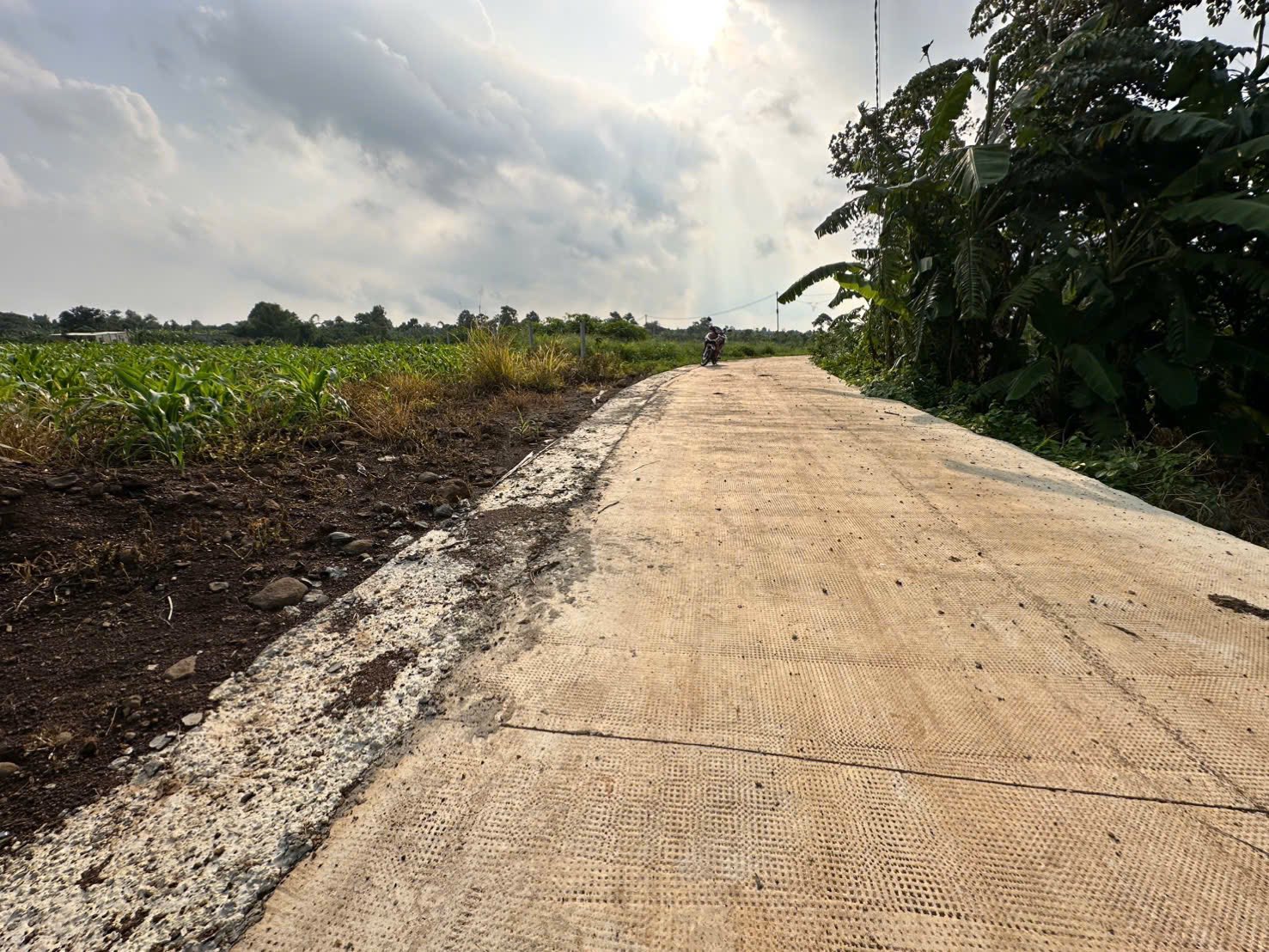 Miền đất vàng Bình Giã 2660m2, sổ hồng, giá yêu thương