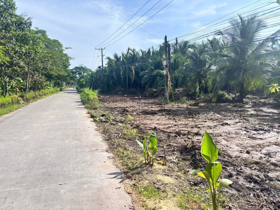 Siêu phẩm đất nền rộng 1336m2, mặt tiền lên đến 50m, đã có sẵn mặt bằng