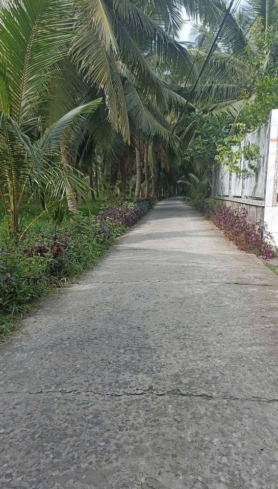 Bán đất mặt tiền đường ô tô phường An Hội, tặng nhà cấp 4, 1.500m²