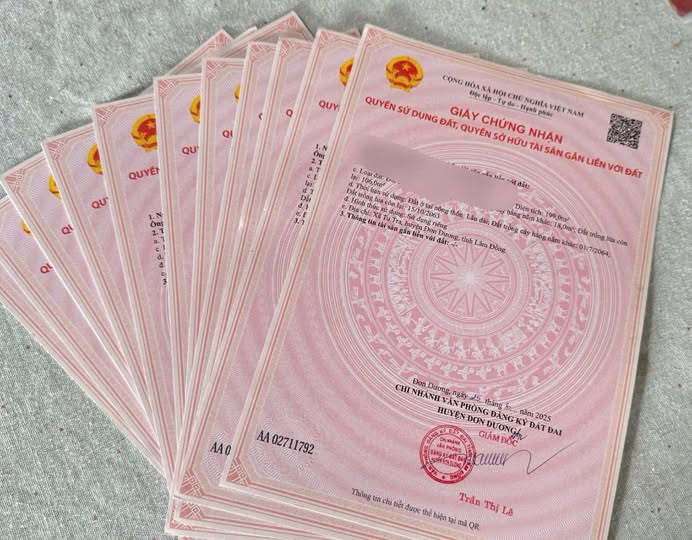 Đất vàng Đơn Dương giá hời như mơ, thổ cư sẵn sàng chờ bạn