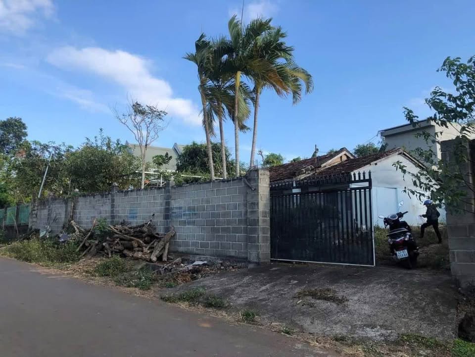 Đất vàng Buôn Ma Thuột nhà yến nghìn tổ, vườn rộng, lời ngay 300 triệu