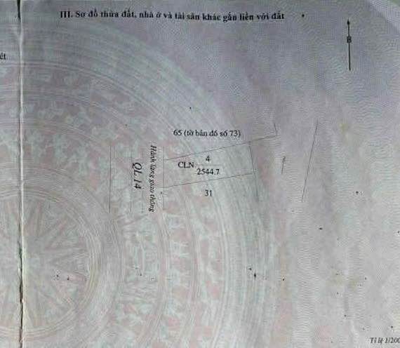 Mặt đường Quốc lộ 14A, Đắk Nông - 100 triệu/m2