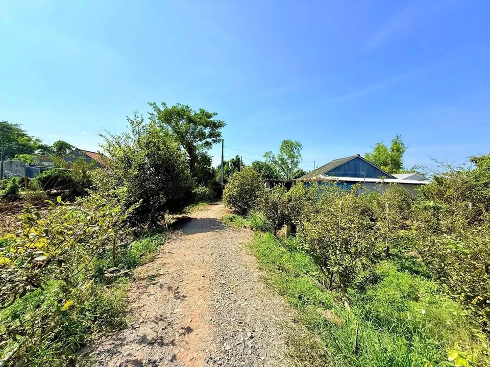 Bán nền 100m² gần Chợ Mới, Long Xuyên, sổ riêng từng nền, thuận tiện cho việc kinh doanh, buôn bán