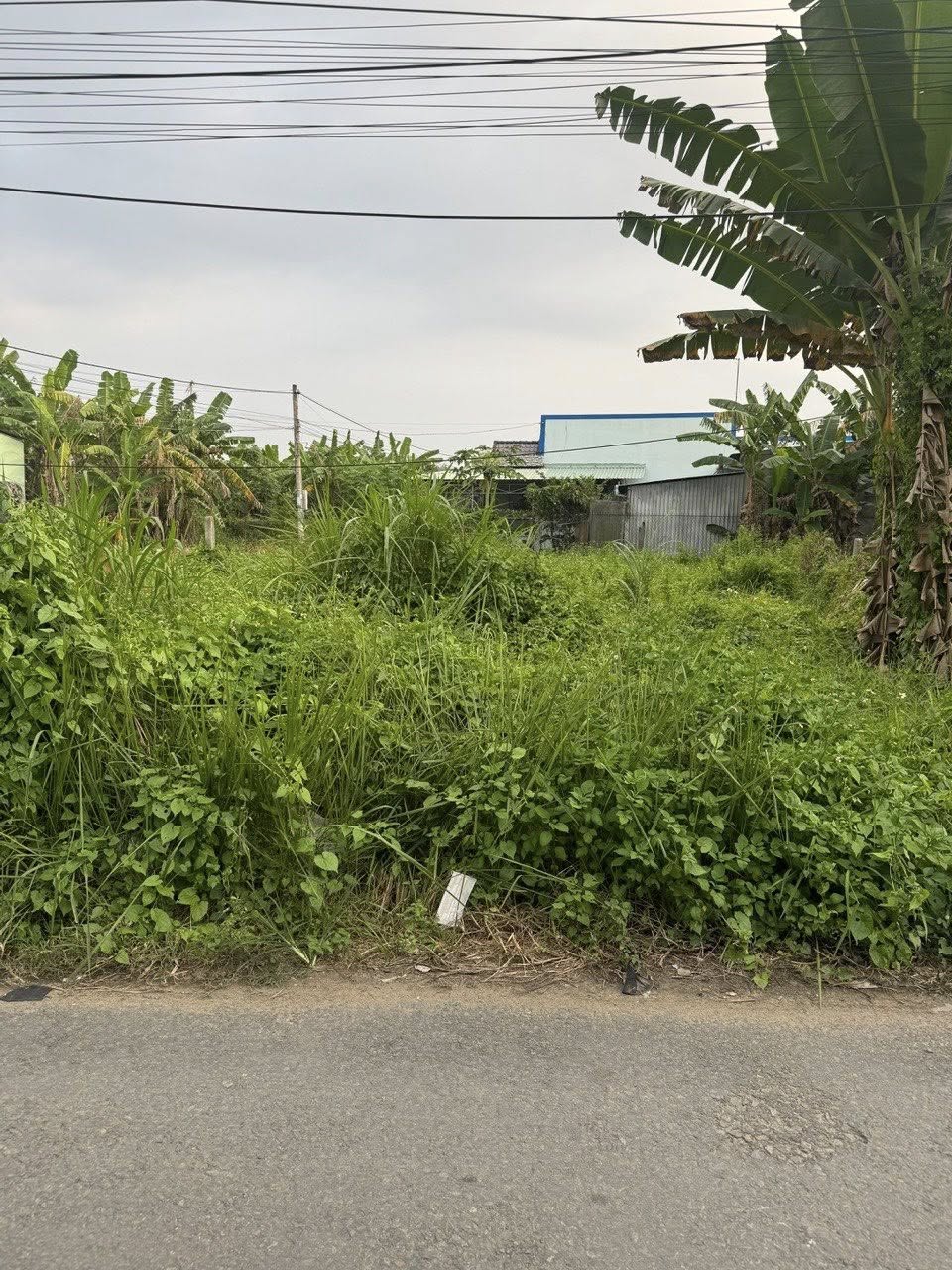 Bán nền mặt tiền lộ Thống Nhất, phường Bến Tre, giá 1.23 tỷ