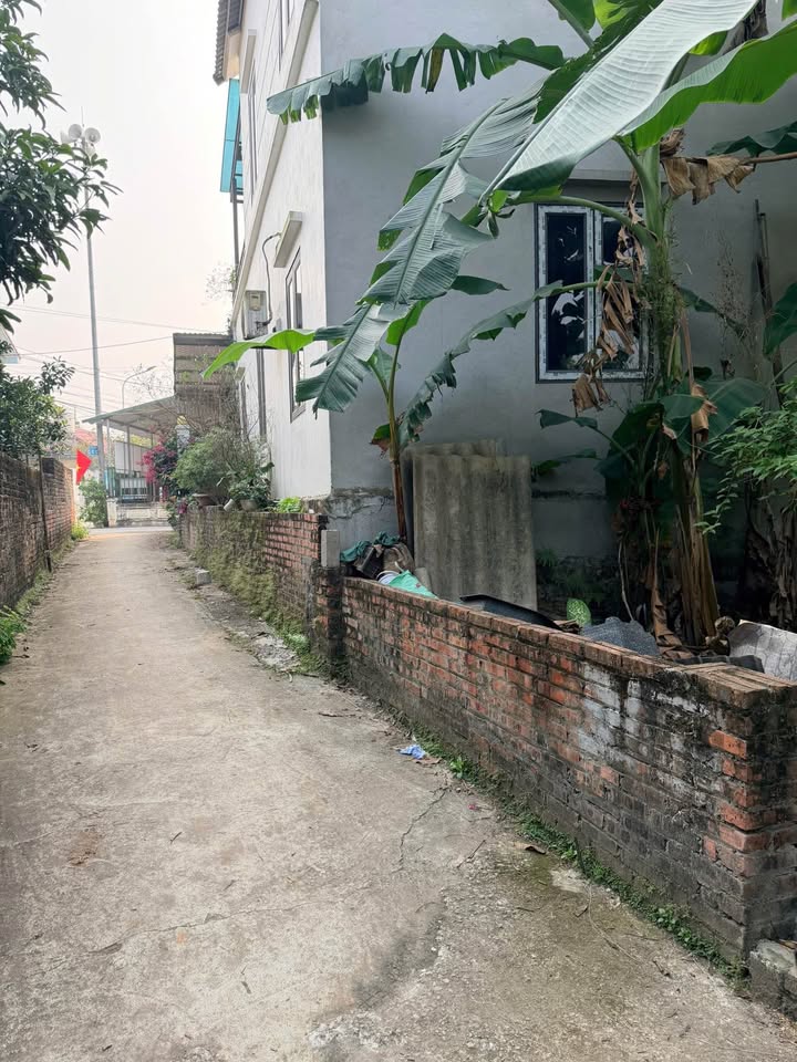 Bán đất Tích Giang, 46.5m², đường ô tô đậu cửa, giá nhỉnh 1 tỷ