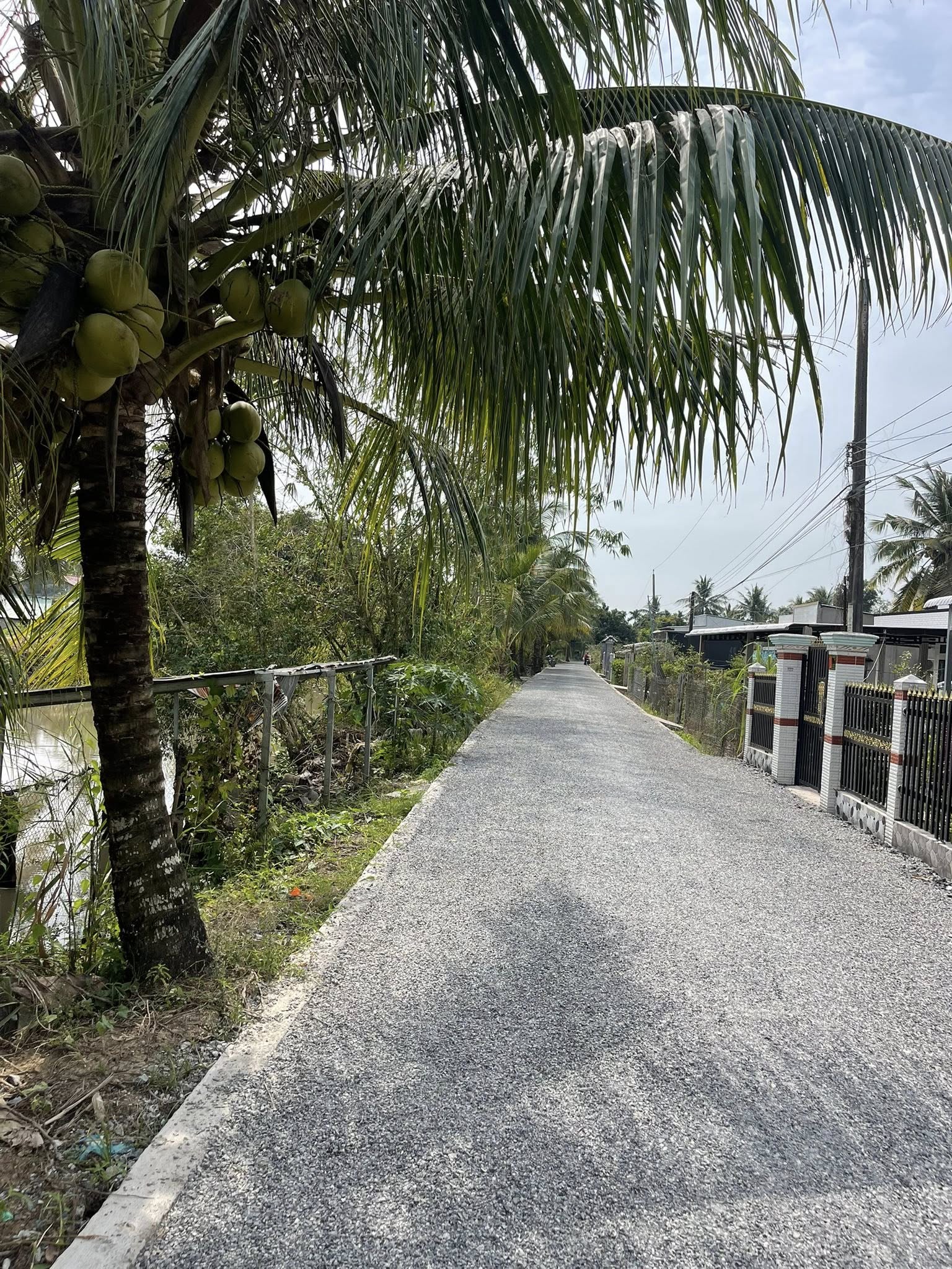 Bán đất Trường Long Tây, Cần Thơ, 942m2 thổ cư, mặt tiền lộ ô tô