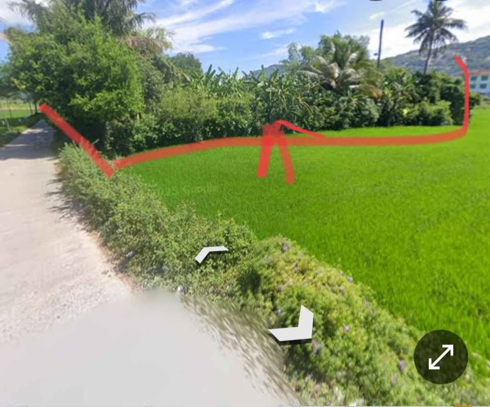 Bán đất trồng cây lâu năm tại Quy Nhơn, 1.255m2, gần đường Trần Quốc Hoàn