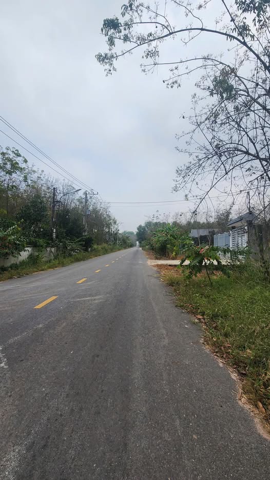 Bán đất công nghiệp rộng 10.000m2 tại Bàu Bàng, Bình Dương