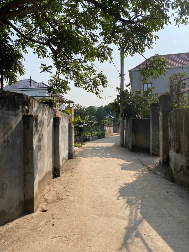 Bán lô đất 80m² tại Tuy Lộc, Phúc Thọ, chỉ cách Quốc lộ 32 khoảng 500m, ngõ ô tô