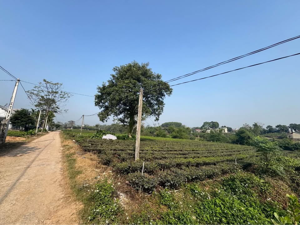 Bán mảnh đất 700m2 bám đường bê tông hơn 20m, view Sông Công - Tân Cương