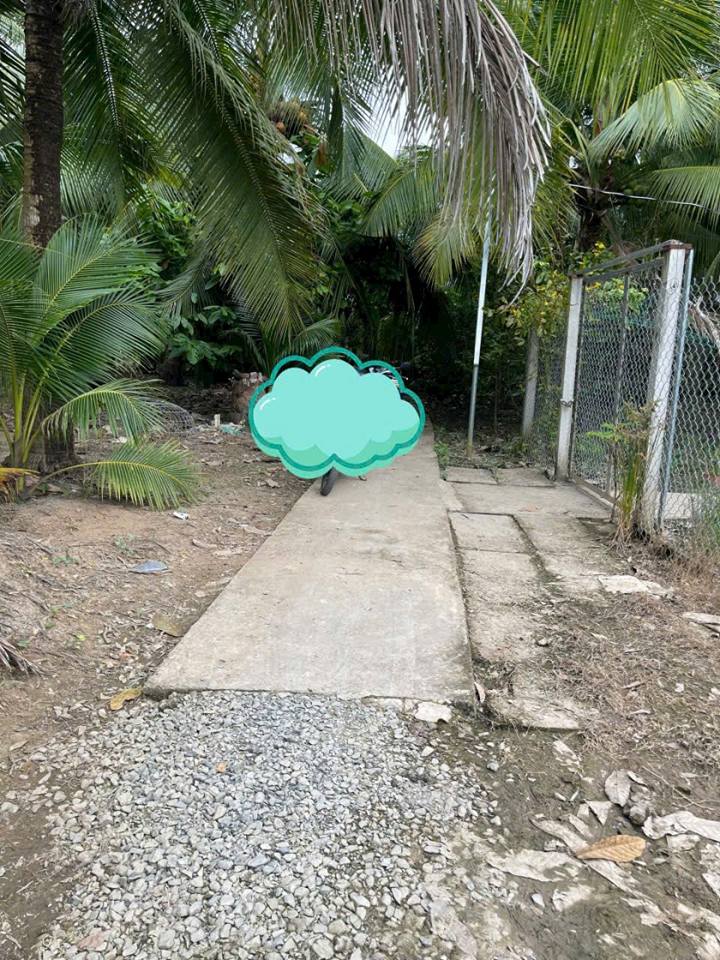 Đất xịn xò Bến Tre, diện tích 500m2