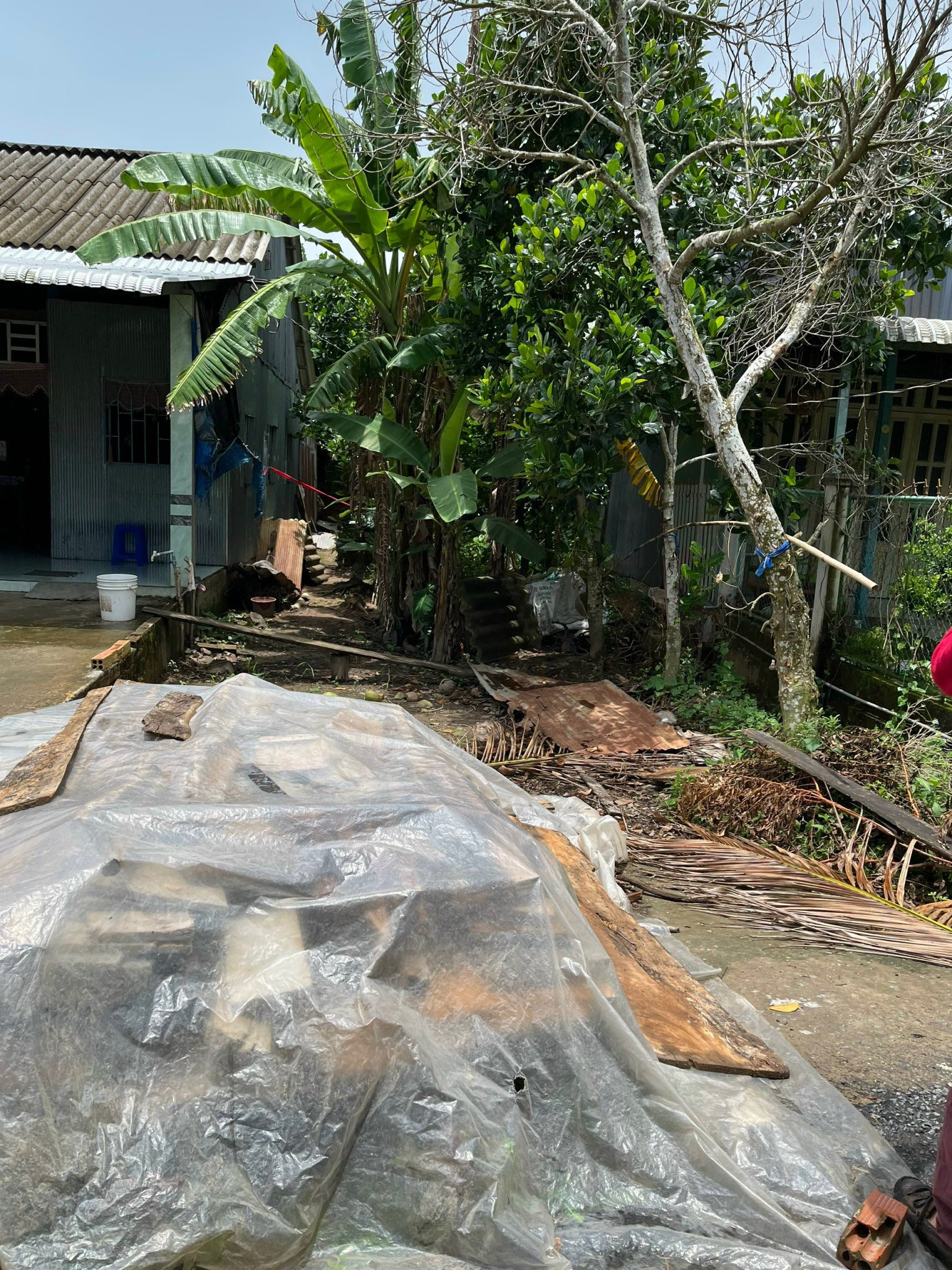 Bán gấp nền ở Rạch Cái Dâu, Bình Thành, Lấp Vò, Đồng Tháp, giá 500 triệu