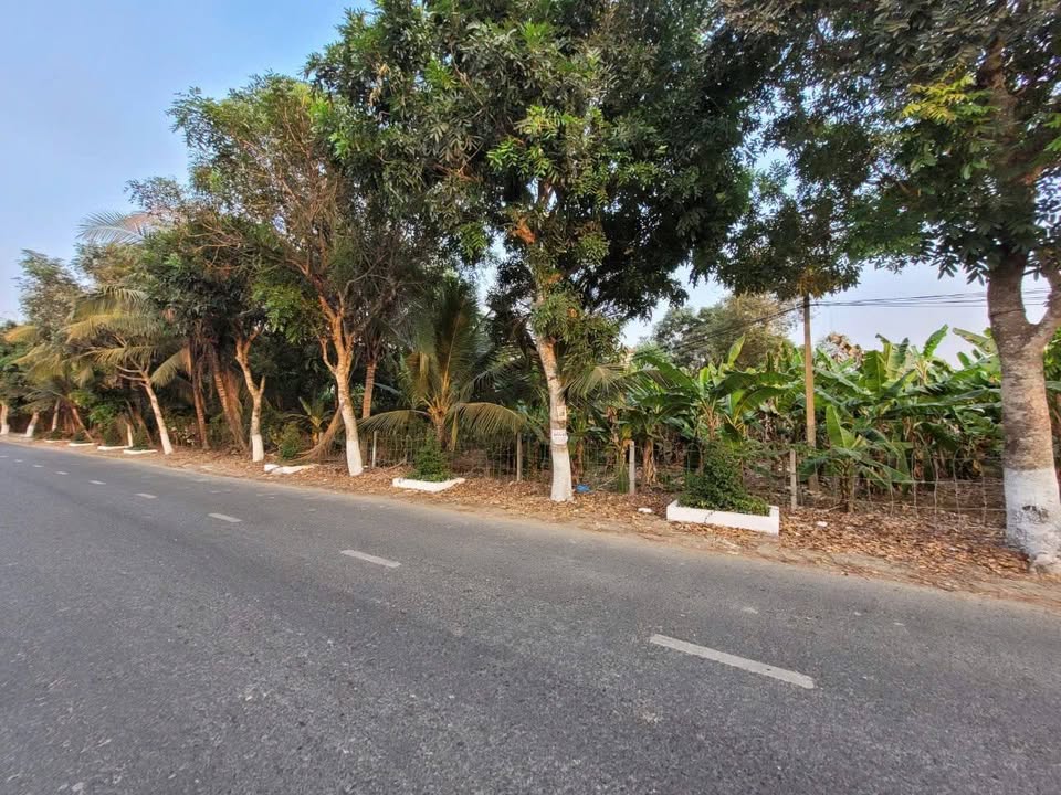 Bán miếng vườn mặt tiền Tỉnh lộ 943, Vĩnh Trạch, Thoại Sơn, diện tích 1546m2, giá 8 tỷ